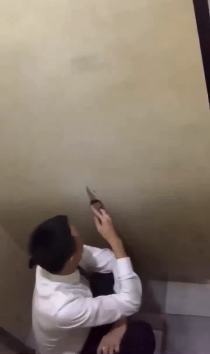 特别喜欢鸟洞这种感觉，有没有人和我一样，有这个爱好 https://t.co/kJ38MiTKKs