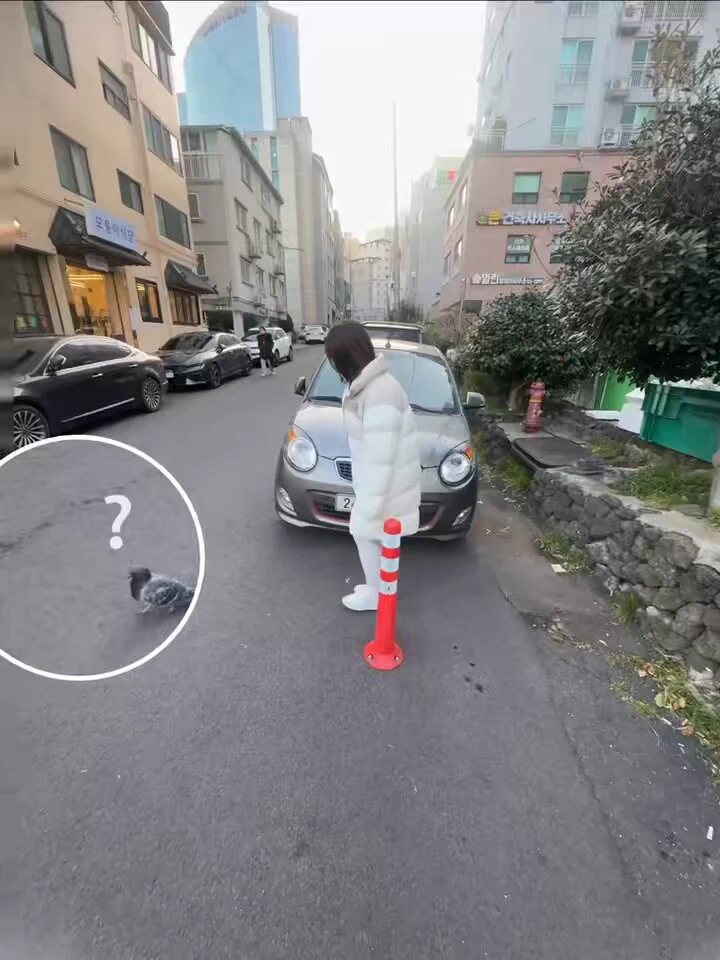 原来你是这样的番茄 https://t.co/sjf8EEpces