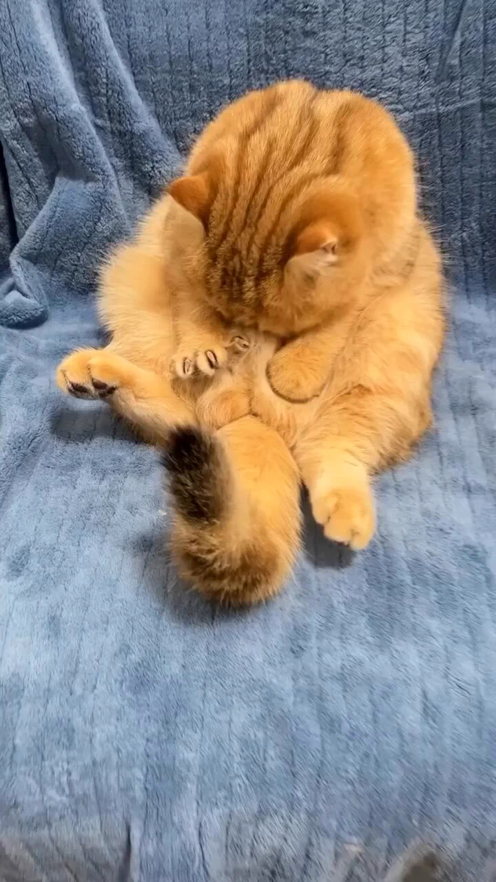 モミモミ https://t.co/tJVGKZQkJd