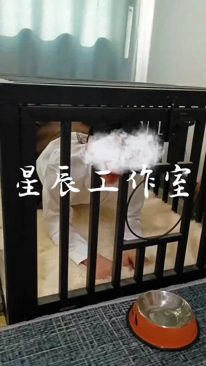 年龄从来不是岁月的负担 而是时间的馈赠.趁着年轻 母狗就该及时享受圈养调教的母狗生活。 #调教 #母狗 #骚货 #性奴 #开发 #犬奴 #驯化 #反差婊 #扇脸 #露出 （因平台不能发完整版 完整版看置顶或评论区） https://t.co/GUyYMzqS7O