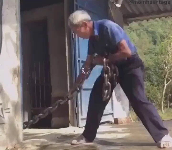 どんな猛獣なのかと思いきや… https://t.co/hBBSR1g82M