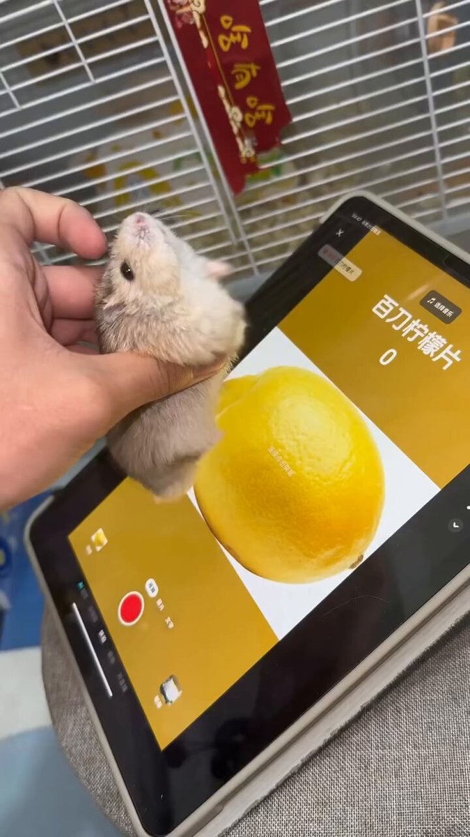 网络水军
很多都不是人

但是都被人操纵
🤔🤔🤔🤔
 https://t.co/OcHTglUpwO