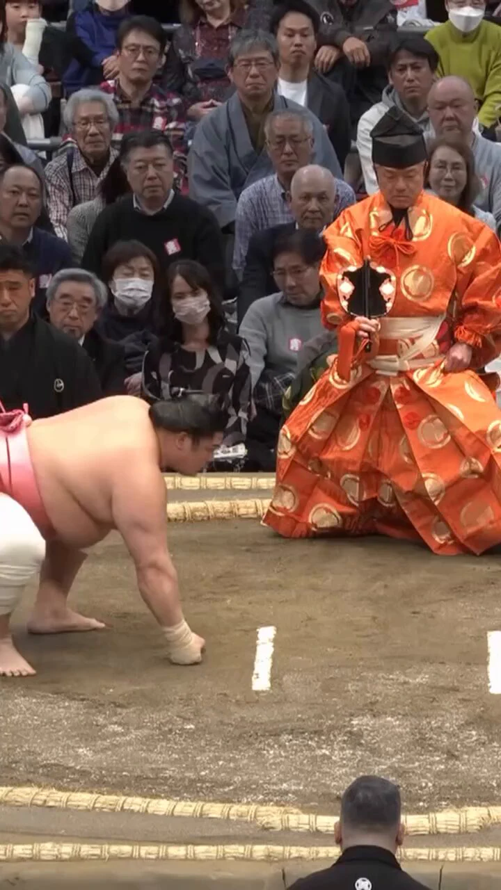 Sumo is thought to have developed from contests of strength and there have been other similar games since ancient times, such as wrestling, that have originated all over the world.The beginning of sumo dates back to mythological times. Oldest mention appears to be the myth of Kuniyuzuri (ceding of land) in Kojiki (Records of Ancient Matters), in which there was contest of strength between gods Takemikazuchi no Kami and Takeminakata no Kami. In addition to this, Ame no Tajikarao no Mikoto, who was proud of his superhuman strength and who opened up Ama no Iwato (cave of heaven), seen as god of sumo.According to Nihonshoki (Chronicles of Japan), contest of strength between Nomi no Sukune and Taima no Kehaya in article for 26 BC is said to be origin of Sumo. Nomi no Sukune, who won, has also been worshiped as a god of sumo. Throughout Japan, 26 shrines are dedicated to Nomi no Sukune with Nominosukune-Jinjya Shrine in Sumida Ward, Tokyo, being most often visited by sumo wrestlers and officials. Sumo became a part of annual imperial ceremonies, called Sumai no sechie and held around the time of Tanabata (Star Festival) every year. Elite sumo wrestlers are chosen from all over country and wrestle in tournament. During Kamakura Period, Minamoto no Yoritomo became patron of sumo and tournaments came to be held on festival days at numerous shrines. These exhibitions became popular among Shoguns and their powerful commanders. Later, during Edo Period, “Kanjin Zumo” tournaments were held frequently as charity for temples and shrines. This led to remodeling of organization of tournaments, leading to current Grand Sumo Tournaments. From this perspective, sumo can be seen as one of earliest sports to be commercialized and professionalized in Japan.You may have seen sumo wrestlers clapping their hands in prayer during Dohyo-iri (ring-entering ceremony) of Grand Sumo Tournament. They perform this action because Dohyo is considered to be place where Gods dwell.Dohyo-Matsuri Festival is conducted by a tate-gyoji (head referee in sumo). Joining him are saishu (head priest), makuuchi-gyoji (referee for makuuchi division), juryo-gyoji (referee for juryo division) and waki-gyoji (two assistant referees) day before an official tournament begins. This festival is part of Jichinsai (ground-breaking ceremony), which is performed over a newly constructed dohyo. Saishu recites a Shinto prayer and offers gifts to pray for safety and success of the tournament. The well-being of the nation and a huge harvest are also prayed for. At the ceremony, items of good tidings such as salt, seaweed, dried squids, dried chestnuts, rice, torreya-nuts, etc., are buried in the center of the dohyo as offerings to the gods protecting the dohyo.Dohyo-Matsuri Festival is performed at all sumo tournaments held for shrines. These tournaments are held to pray for peace, family prosperity, a rich harvest, and bountiful fishing, just to name a few things.In Japan, “Hitori-zumo,” (wrestle with oneself), is used to mean someone working desperately on something for no one in particular, or even pointlessly. Term originated in Shinto ritual held at Oyamazumi-Jinjya Shrine in Omishima, Ehime Prefecture. This Shinto ritual is performed during both Ondaue-Matsuri (rice planting festival) every spring on May 5 and the Nukibo-Sai (rice harvesting festival) every autumn on September 9, both by lunar calendar. It is performed to pray for a good harvest on a dohyo constructed between building called “Osajiki Den” and special rice field offered to the gods called the “Shinsen Den.” A three-point match is held between an invisible rice spirit and a sumo wrestler. In this contest, rice spirit will always win by 2 victories and 1 defeat. It is quite comical to witness since the man seems to be wrestling by himself. This ceremony is where term “hitori-zumo” originates. Originally, though, it was an important ceremony for praying for a rich harvest.© inside.japan #archaeohistories