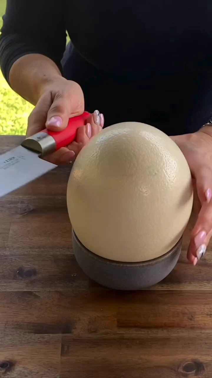 Ostrich Egg vs Emu Egg https://t.co/ZDLWOlH3Jz
