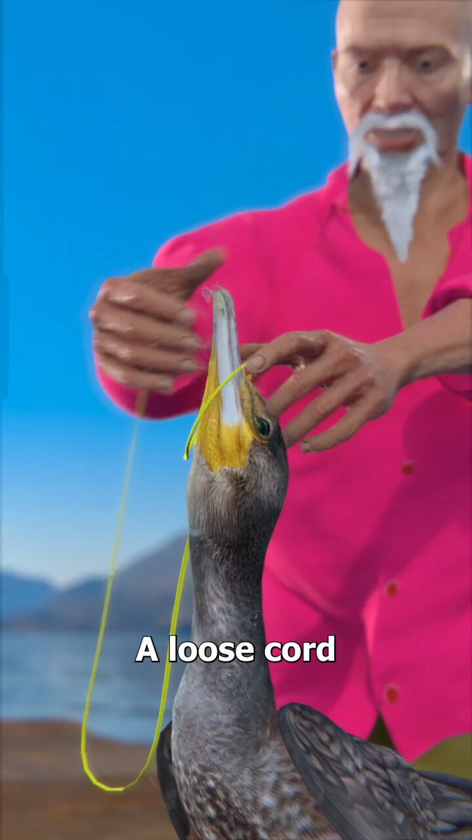 How Fishermen Use Birds To Catch Fish 😮 https://t.co/DXm92yXCmY