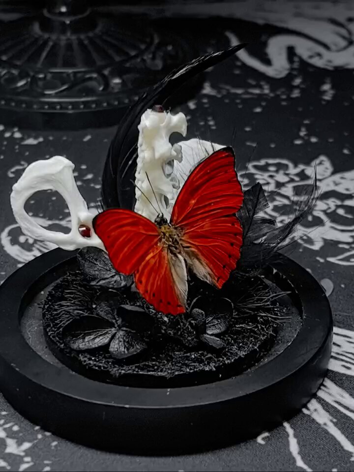 一个即兴手作 https://t.co/ZyMgovIK9C