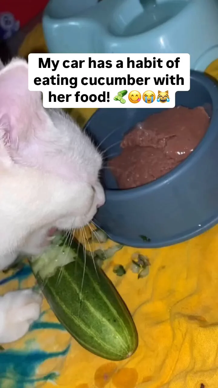 what a combination!!! 😂 https://t.co/tNfu1XdBUZ