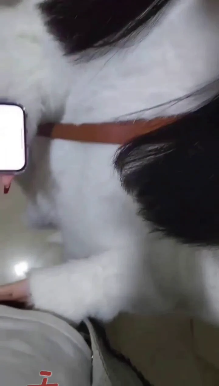 好开心 翻到了以前的视频 在地下车库走着走着 发现老公硬了 按着我的头就让我跪在地上吃鸡鸡 好羞耻@lvmaoshetuite@luchu888@Fengsiyuan @wqganenshi_ @Public_Catgirl1 @luchu888888 @Haosehou https://t.co/hqF1F1JBKt