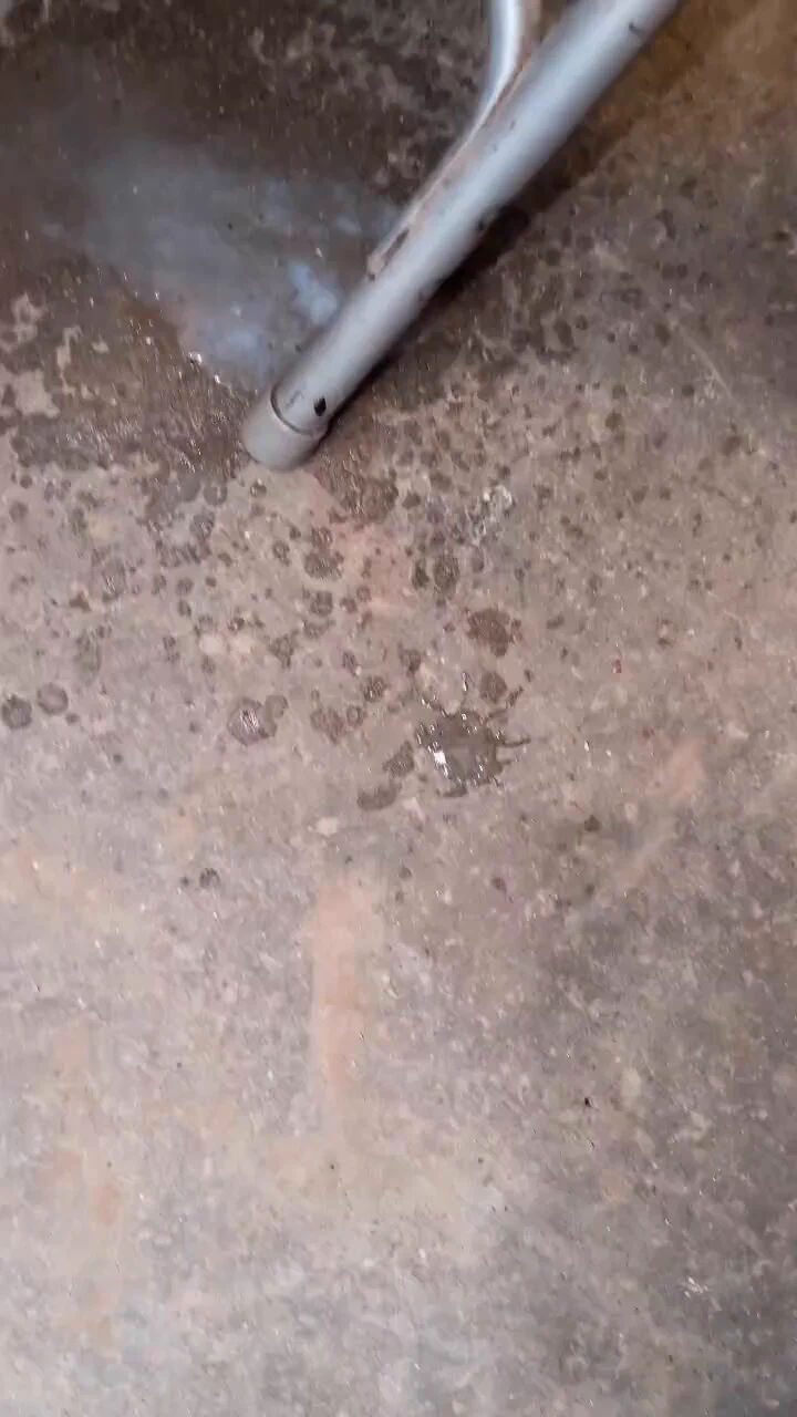 Chudai 💦 💦 I get really wet when other women's husbands fuck me raw and fill me with a big creampieI only fuck raw with a creampie finish, the videos are in the comments below 👇 https://t.co/yA53qXxgdc