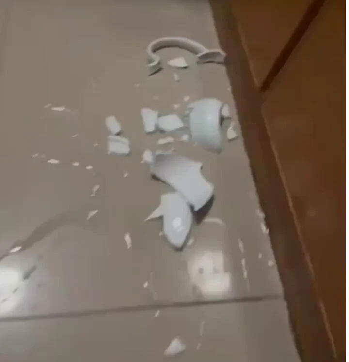 my cat trying to help me figure out who broke the vase https://t.co/v1IepiEHIK