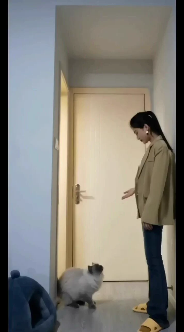 https://t.co/2Tta68fS5z