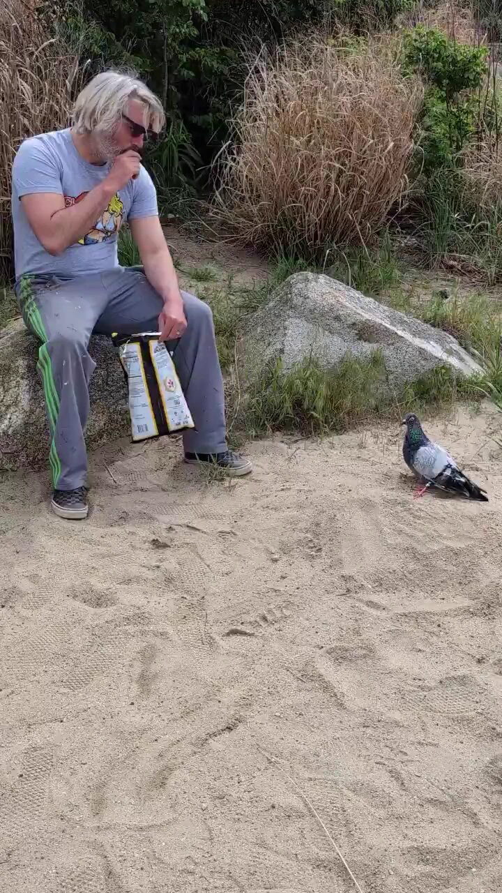 鳩のようなものに餌をやる男性。この人はトーマス・ダイニンジャーというアーティストで廃棄物を使って特定の視点から眺めると鳩に見える作品を作り出したのです
https://t.co/CW8R2pb0zc