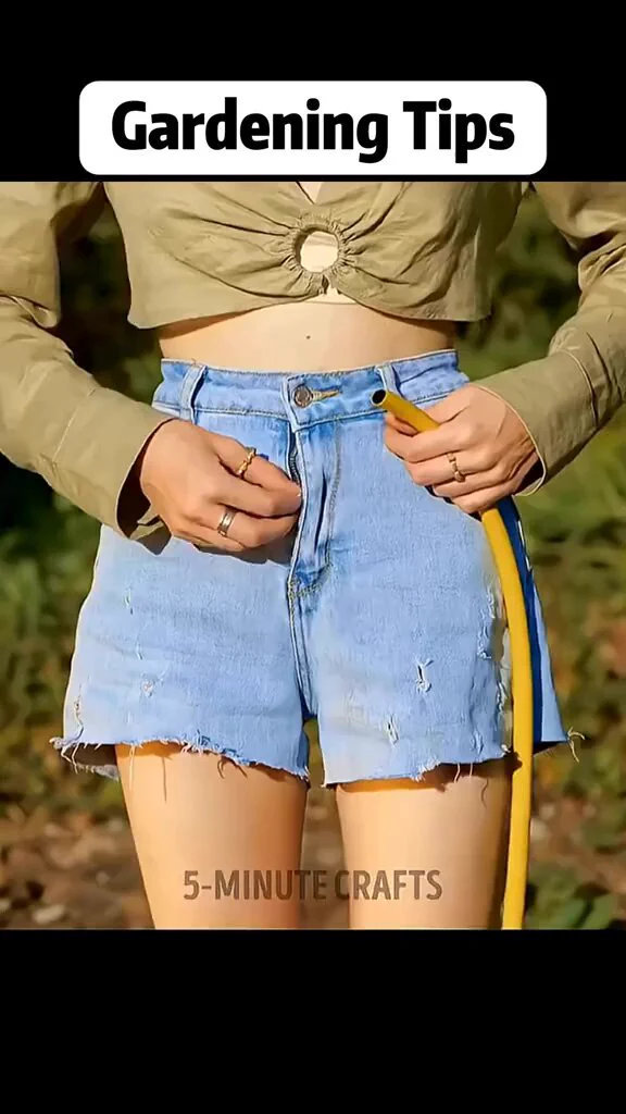 Useful gardening hacks https://t.co/VsbNRDp8BQ
