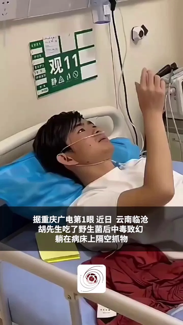 【今年首批吃菌子中毒的人出现了，小伙野生菌中毒后隔空抓水母】近日，云南临沧。胡先生食用野生菌中毒后，隔空抓水母、孔雀、凤凰等。胡先生称在食用野生菌后一个小时，看到这些生物五彩斑斓的，还有触感。温馨提示：不吃不认识的野生菌。 https://t.co/3FshCfXklW