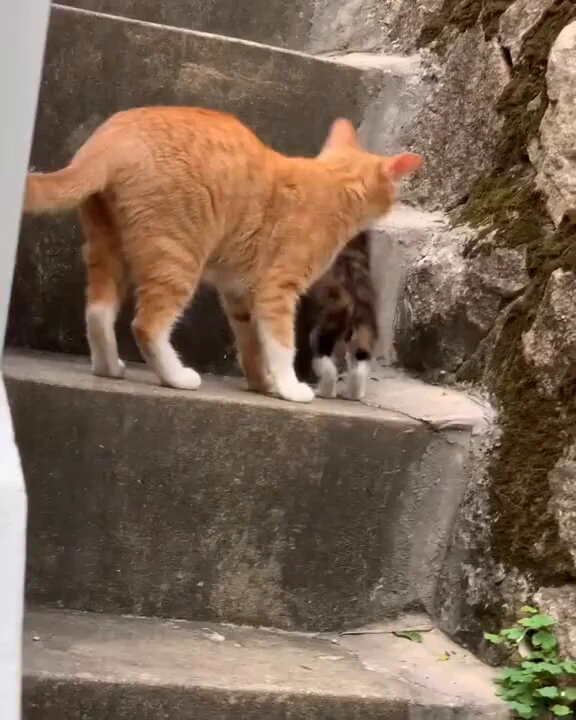 "good job baby, good job" https://t.co/jGasaGWcvF
