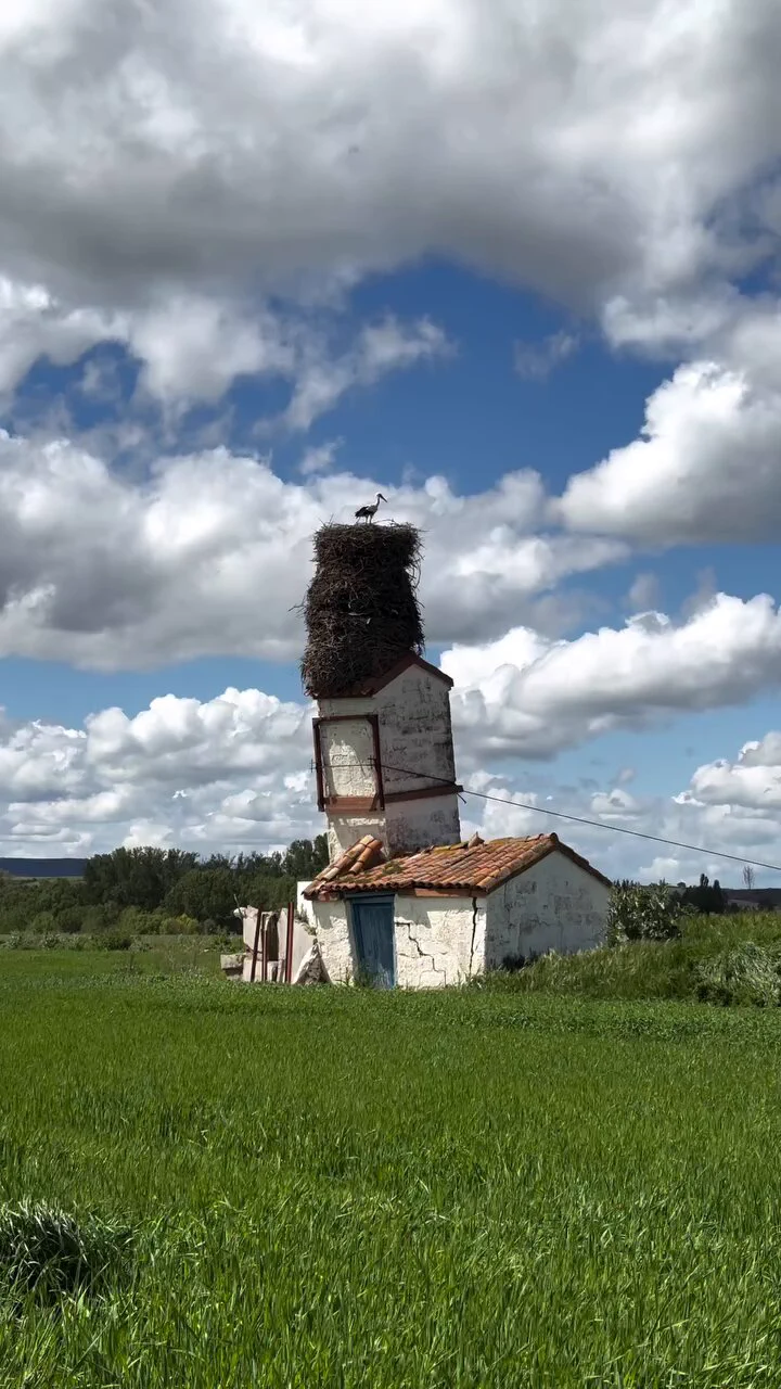 One of the most iconic and photographed stork nests in all of Castile, Spain.
https://t.co/z53w9I6uhA