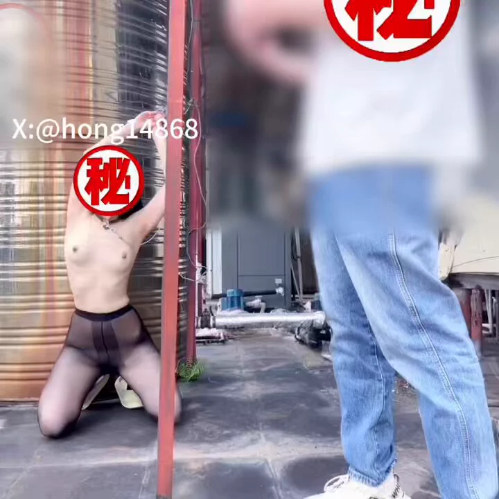 碰到了两个逗比小哥完整视频入门🚪看（购买方式评论区)@ToBulma @ToBulaer @KawasawaSen @BulmaList https://t.co/X1EqArY47F