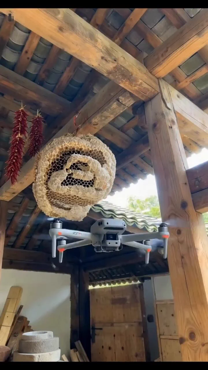 ドローンでスズメバチの巣を除去！動画では、ドローンが巣に接近し、破壊や持ち去りを試みます。安全性を高める革新的な方法ですが、振動による刺激や環境への影響を考慮が必要です🤔 https://t.co/gqf1zgmAZl