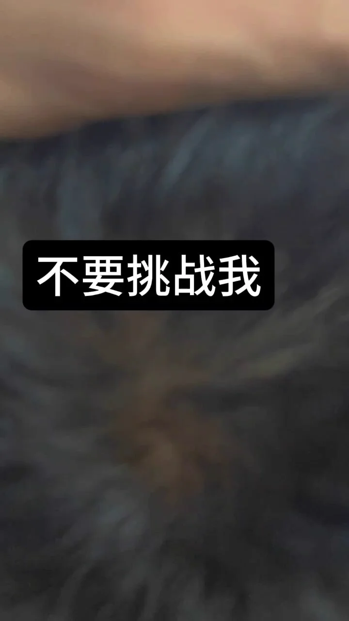 我老婆也只能享受被我品尝过的大鸡吧 https://t.co/NpVGgoqlrf