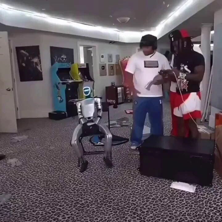 https://t.co/paPEocibdW