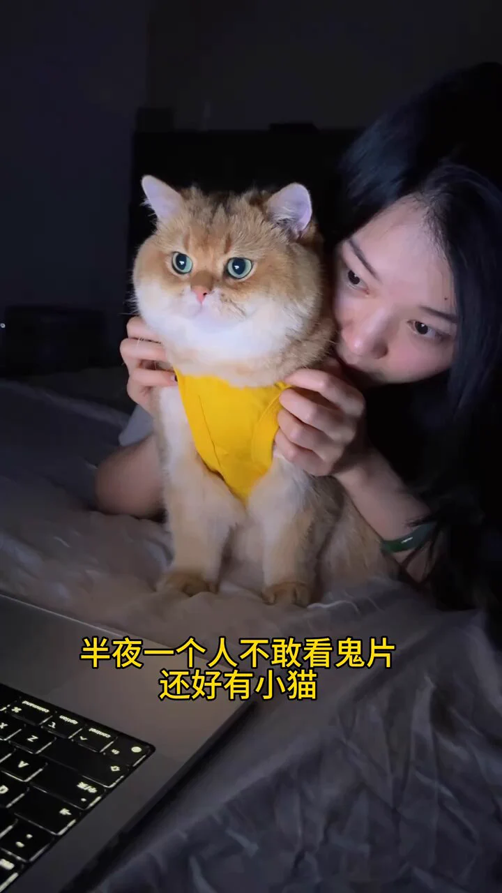 猫说：你看的这些  我天天都能看到🥹 https://t.co/yE5mEAAUVD
