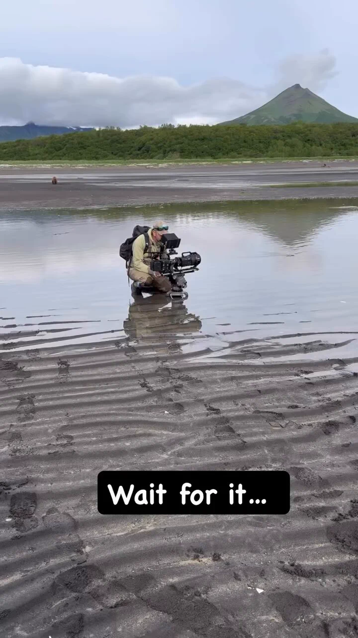 https://t.co/d6aaiLcI1y
