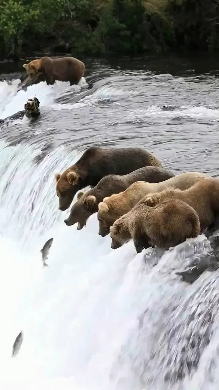https://t.co/qpwswR10TI