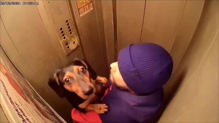 https://t.co/Zt4mPawgxW