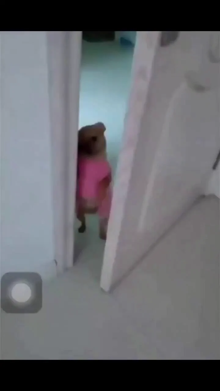 https://t.co/GDTFnlLZOg