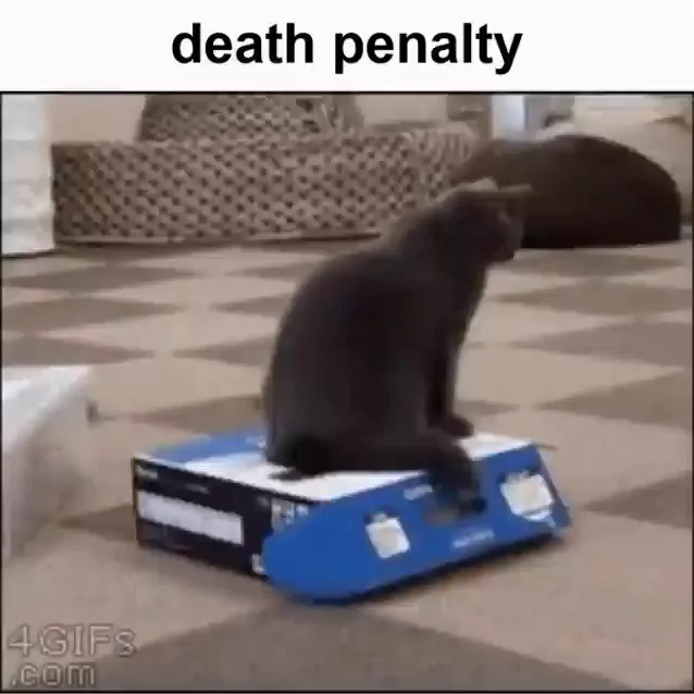 https://t.co/B85s5PFfof
