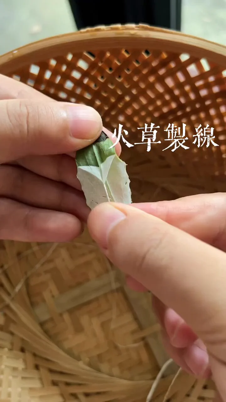 传统工艺，火草制线！#非遗中国 https://t.co/d1GYBoIBfA
