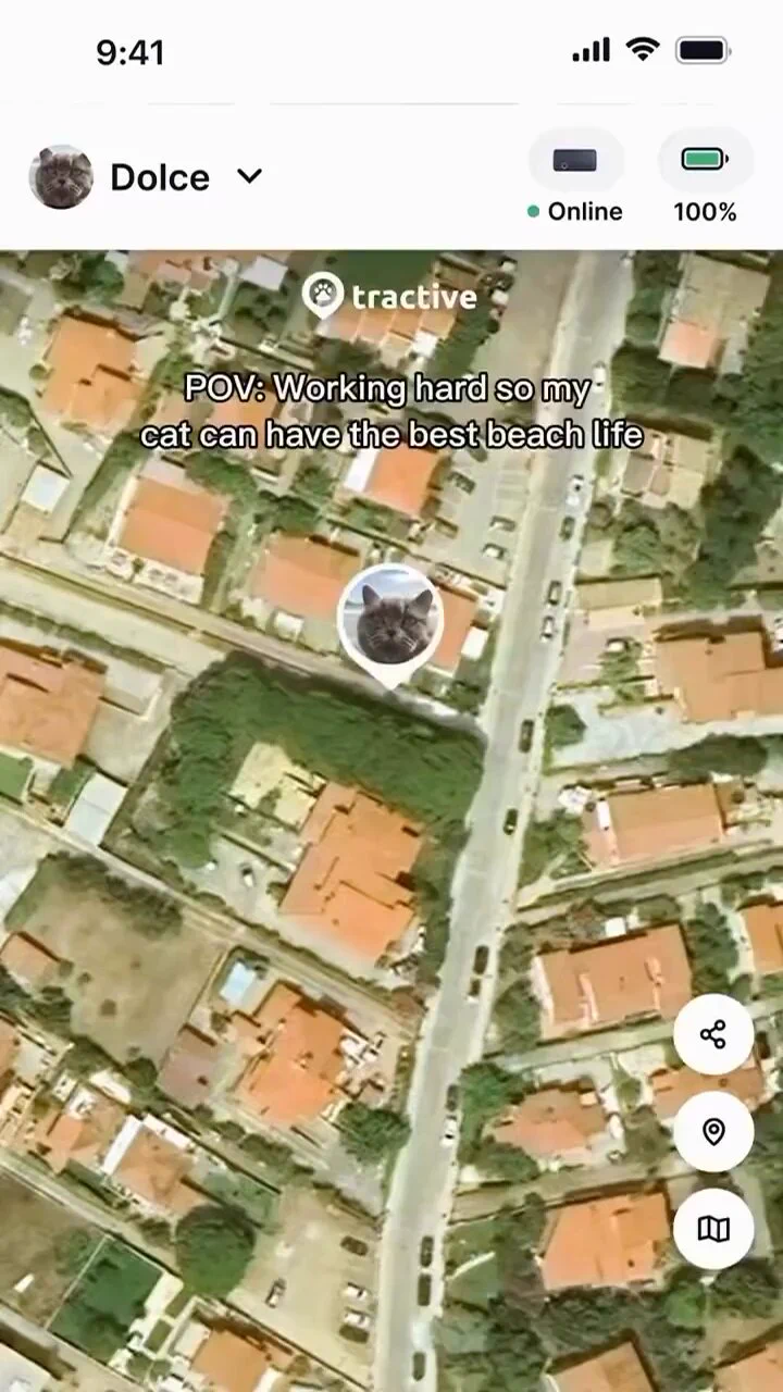 https://t.co/8GdAYZ44Gr