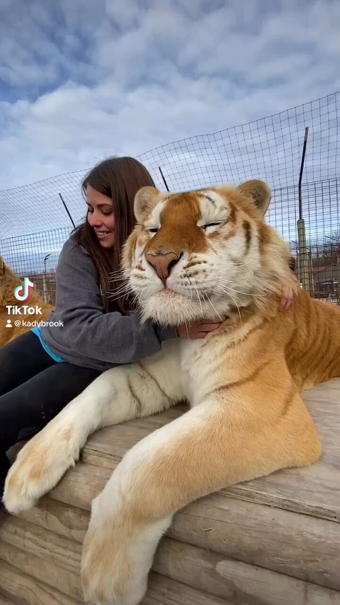 This is one of the cutest things we've ever seen. https://t.co/oOljKw93cY