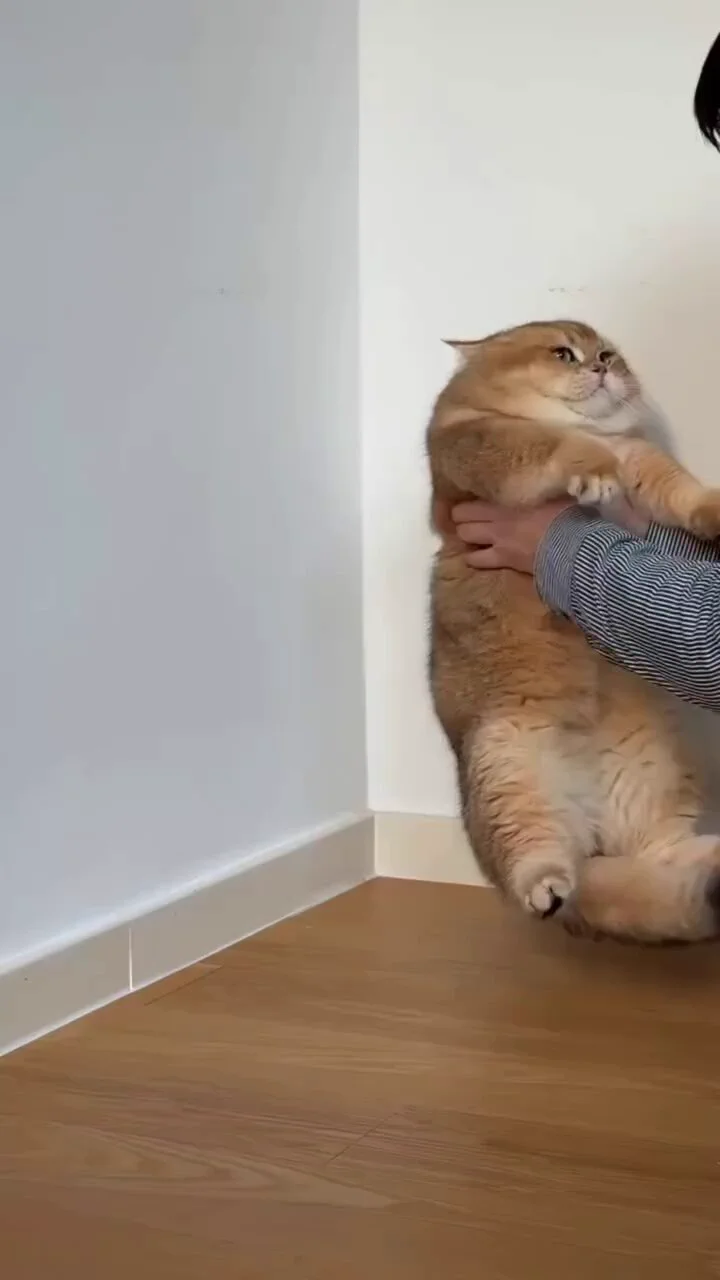 how lovely 🥹 https://t.co/Kj7TJiFEPt