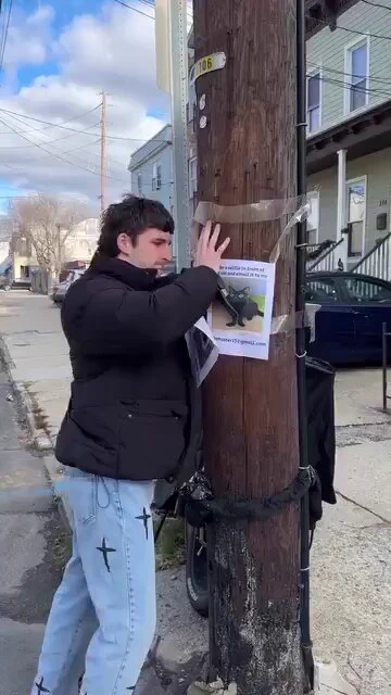 I love when people do silly things https://t.co/3g5wIU5UBv