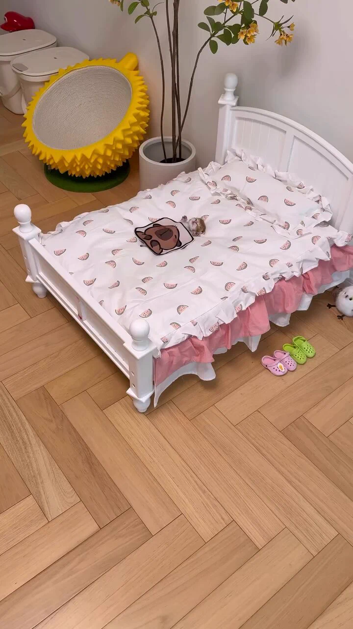 sooooo smol https://t.co/aksa8A29Lq