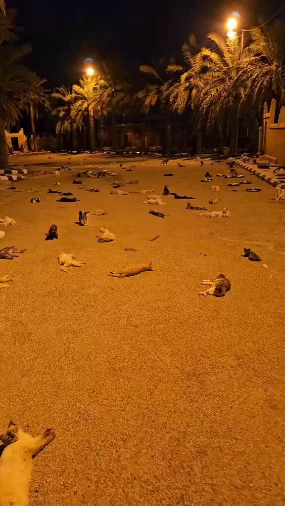 is that heaven? https://t.co/iZcSJengec