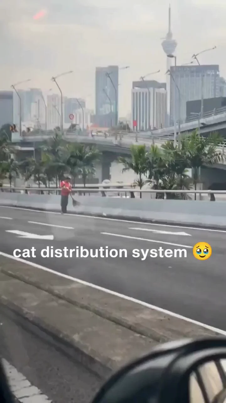 https://t.co/lE1xpV6iwS
