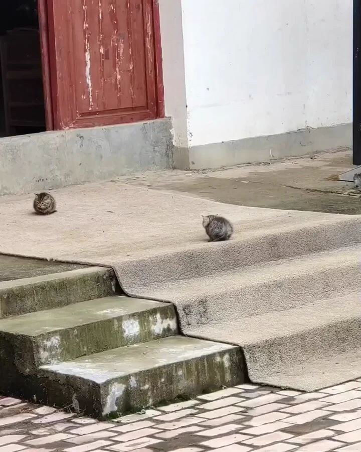 https://t.co/2JMXjYqHEi