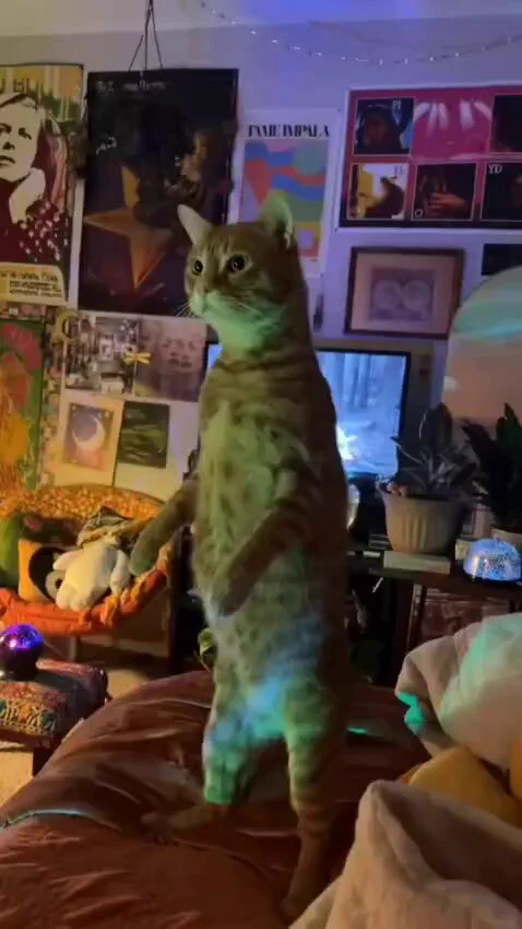 bro calm down https://t.co/OFNnzhgHWU