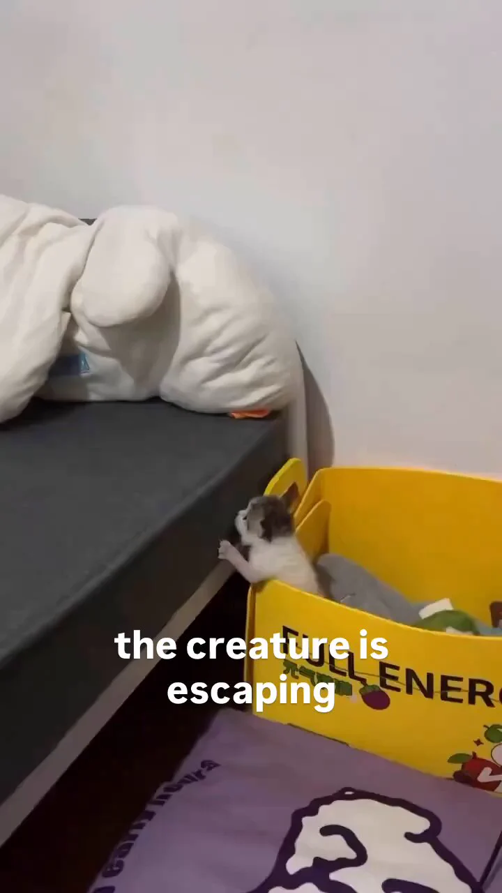 Containment breach! 🚨 https://t.co/IkKrnnBRtL