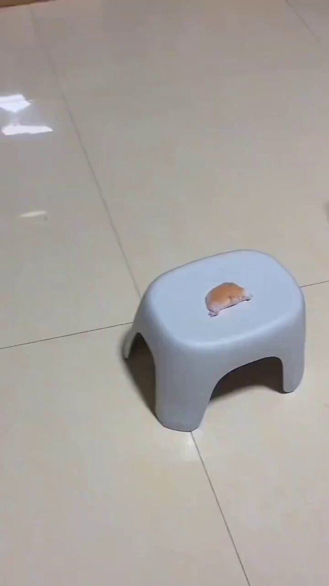 Noooooo 😭 https://t.co/1ExvjwsfQ1