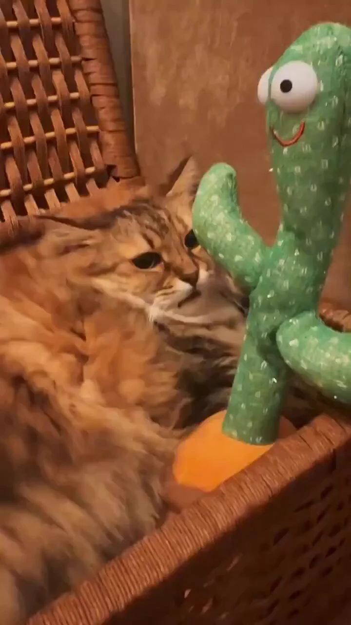 Stop copying me! 😡 https://t.co/dC4kycDZ5l