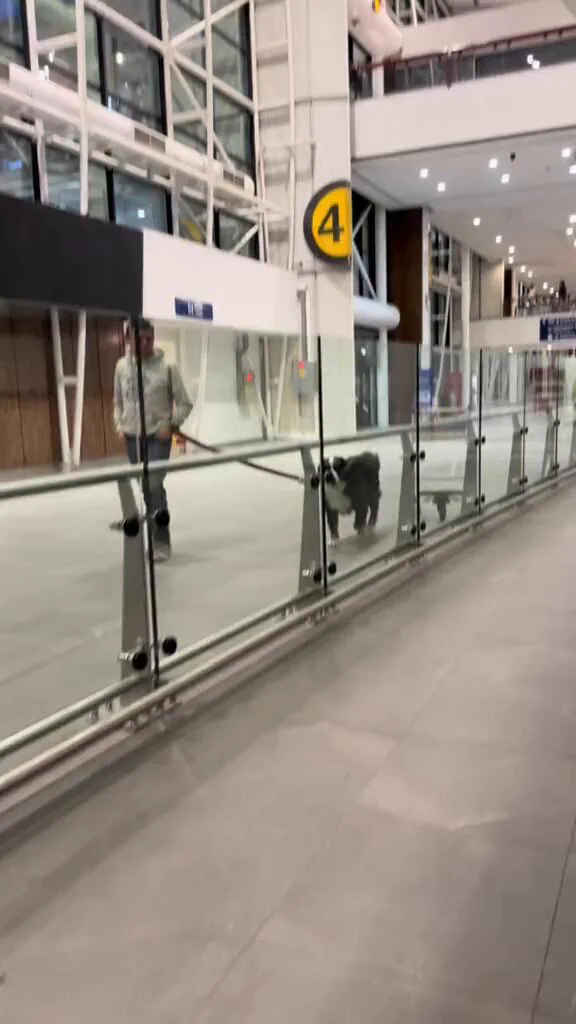 When you meet up with your favorite person https://t.co/JyZxAMGBkc