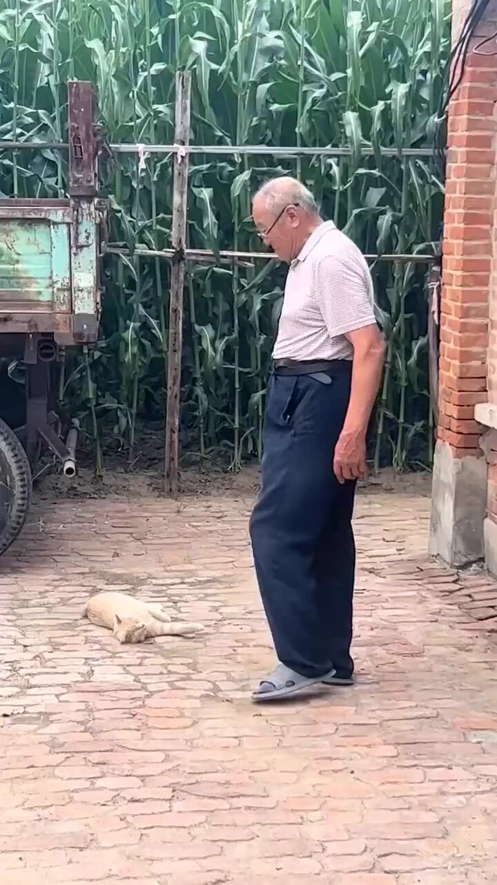 So, oranges can be fixed by grandpas. Okay, noted. https://t.co/P6BwOhUoV1