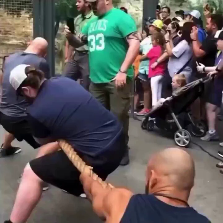 Strength of a lioness vs 3 men 🤯 https://t.co/8gyCsv0lkx