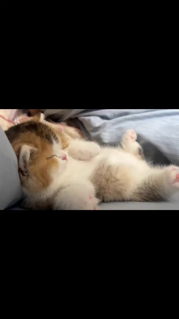 Sleeping good 😴 https://t.co/FddF5iPRzd