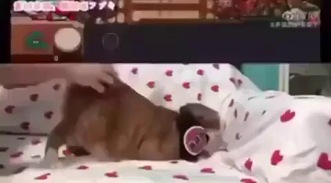 https://t.co/ndaVgEvK3l