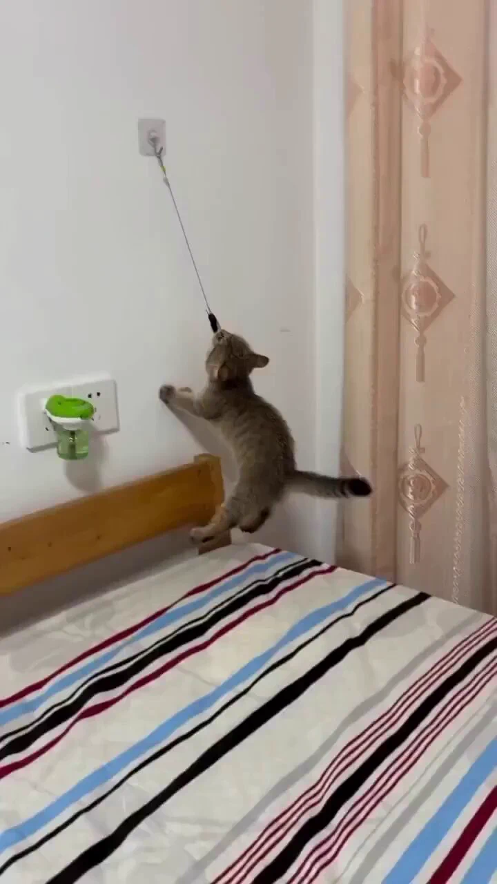 When curiosity meets determination https://t.co/aJyRZd5BId