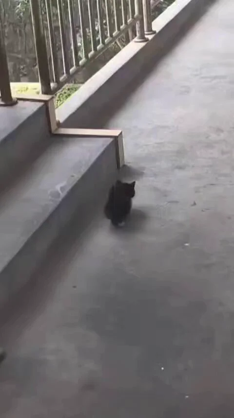 Where is he going https://t.co/BRuURsW1J3